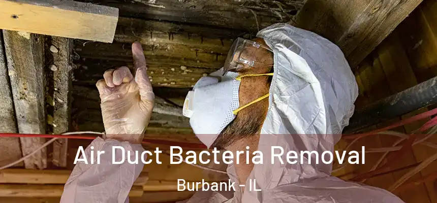  Air Duct Bacteria Removal Burbank - IL