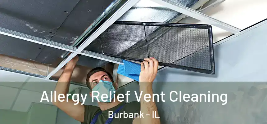  Allergy Relief Vent Cleaning Burbank - IL