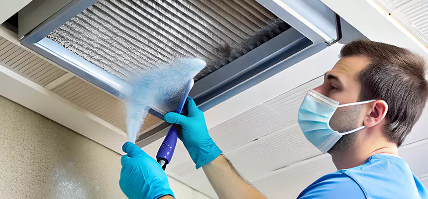 Proactive Dryer Vent & Auxiliary Duct Pollen Cleanup in Burbank, IL