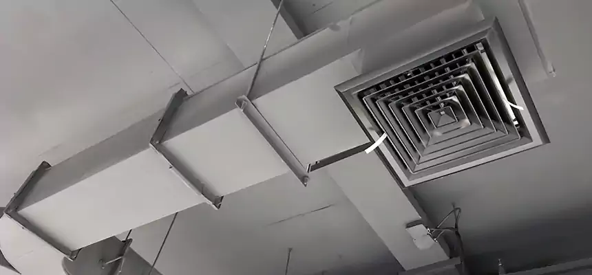 Restorative Allergy Relief Vent Cleaning – Coil, Blower & Housing Detail in Burbank