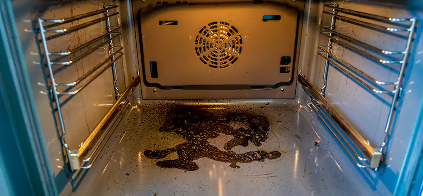 Our Dryer Vent Mold Cleaning Services in Burbank, IL