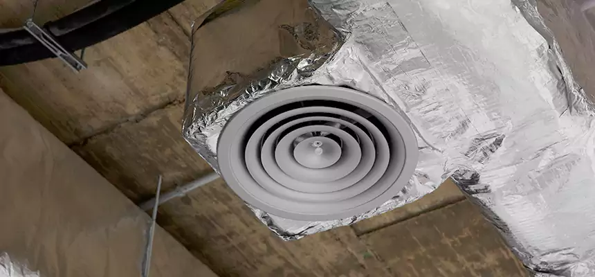 Our Excess Lint Removal from Dryer Ducts Services in Burbank, IL