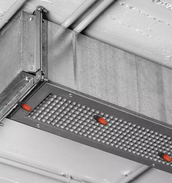 Affordable Insect Removal from Air Ducts in Burbank, IL