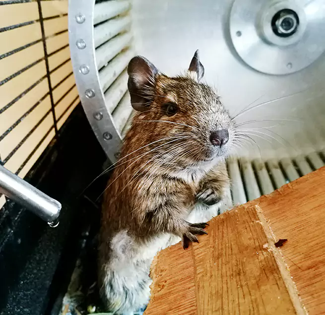 Why Homeowners & Businesses Trust Us Burbank, IL