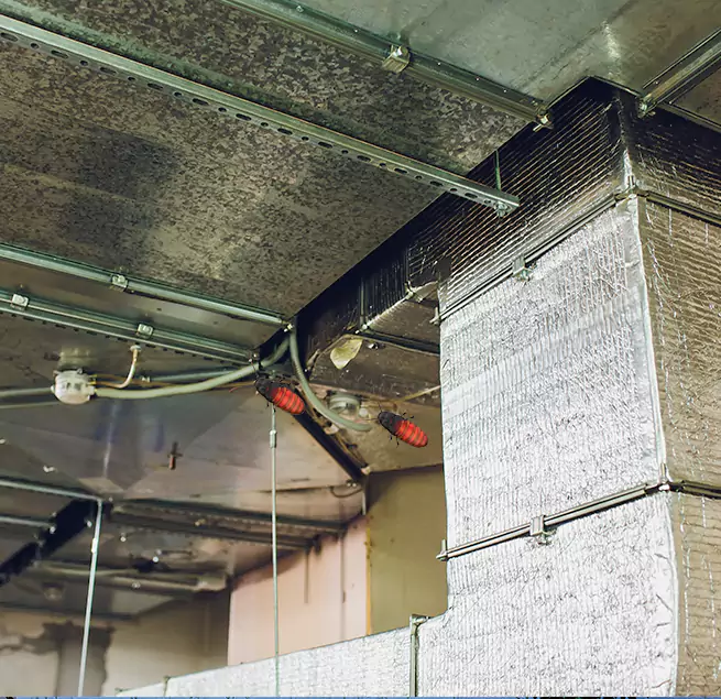 Why Homeowners & Businesses Trust Us Burbank, IL?