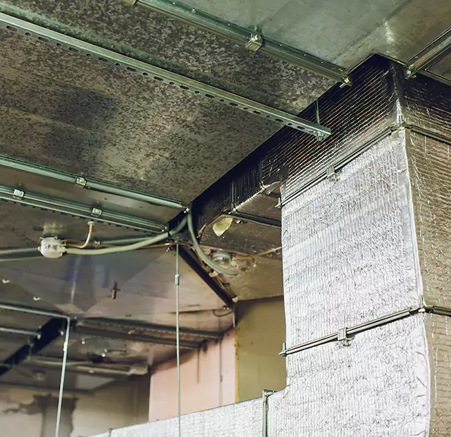 Why Homeowners & Businesses Trust Us in Burbank, IL?